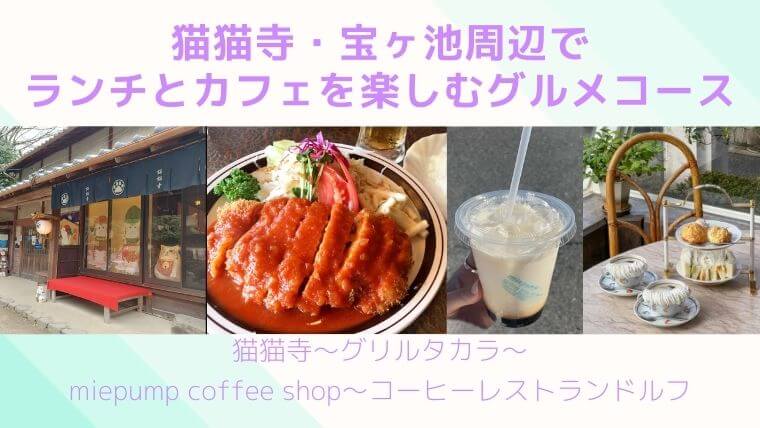猫猫寺・宝ヶ池周辺でランチとカフェを楽しむグルメコースの記事タイトル写真