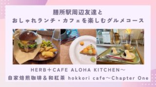 膳所駅周辺友達とおしゃれランチ・カフェを楽しむグルメコースの記事タイトル写真